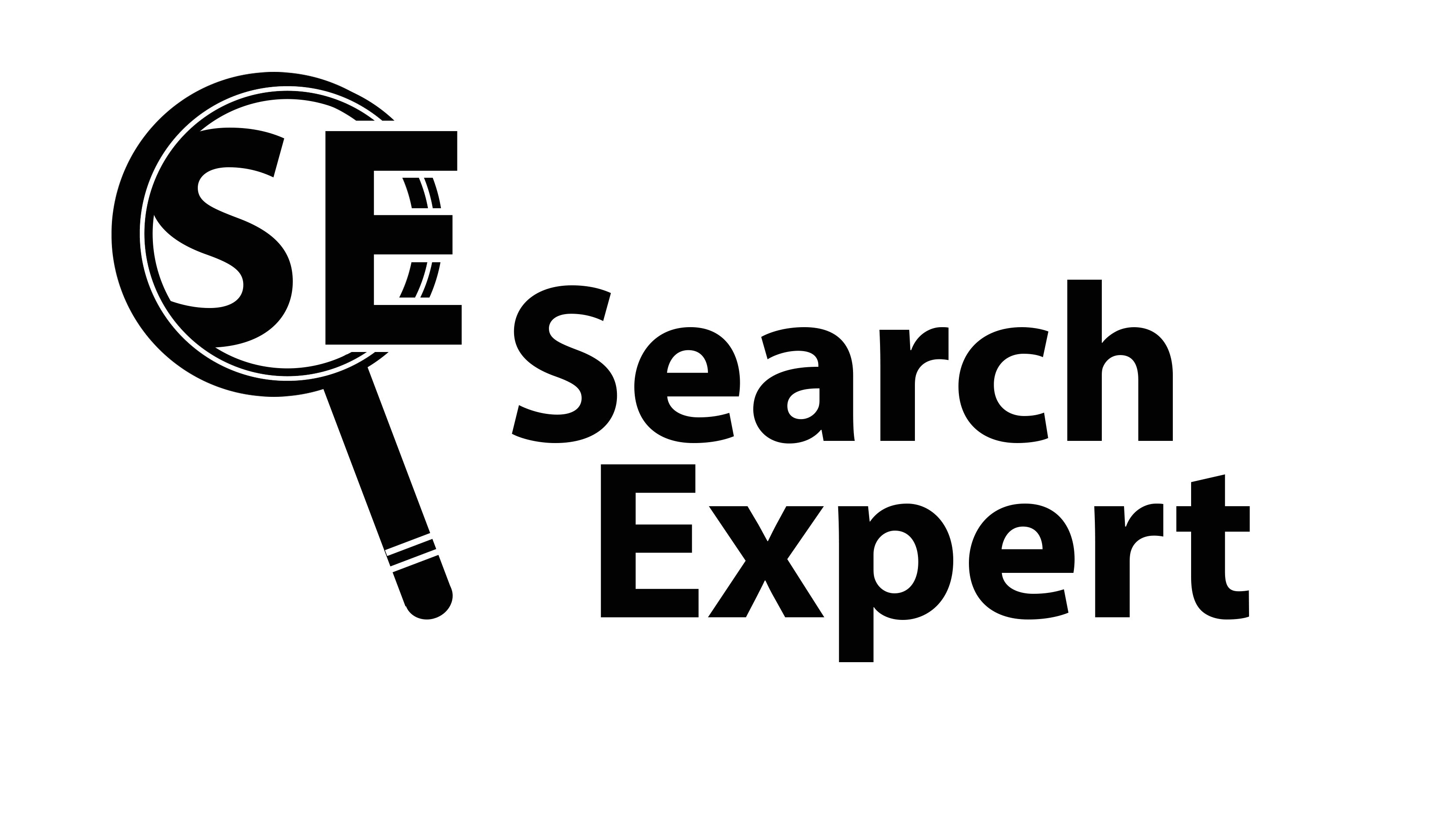 Search Expert Logo copy
